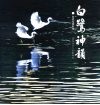 白鹭神韵  张斌生摄影集  1