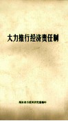 大力推行经济责任制 电子书封面