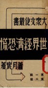 世界经济恐慌 电子书封面