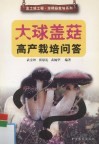 大球盖菇高产栽培问答