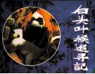 白头叶猴追寻记
