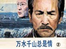 万水千山总是情  2 封面