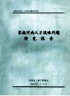 实施河南人才战略问题研究报告 封面