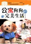 公寓狗狗的完美生活