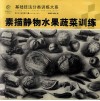 素描静物  水果蔬菜训练 封面