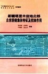 新疆塔里木盆地北部古岩溶储集体特征及控油作用 电子书封面