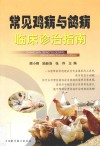 常见鸡病与鸽病临床诊治指南