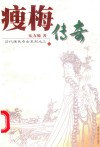 瘦梅传奇 封面