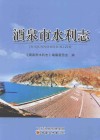 酒泉市水利志 电子书封面