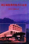 浙江省临海市电力工业志