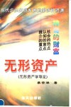 神奇的财富  无形资产  无形资产学导论