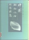 中国湖相化石硅藻图集 封面