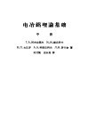 电冶铝理论基础  中