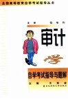 审计学自学考试指导与题解