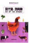 现代猪、鸡育种  优质、高产、低耗，良种是根本 封面