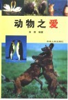 动物之爱