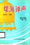 煤海钟声  煤矿事故一事一议
