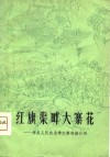 红旗渠畔大寨花  林县人民农业学大寨经验介绍