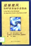 迎接旋风 SAP世界初学者指南