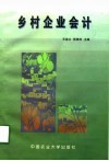 乡村企业会计
