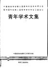 青年学术文集  中国煤炭学会第三届青年科技学术研讨会暨中国科协第二届青年学术年会卫星会议