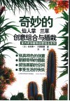 奇妙的仙人掌  兰草创意组合与插栽