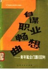 自谋职业畅想曲  青年就业门路100例