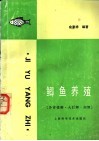 鲫鱼养殖  异育银鲫.大阪鲫.湘鲫