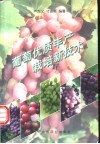 葡萄优质丰产栽培新技术