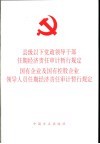 县级以下党政领导干部任期经济责任审计暂行规定  国有企业及国有控股企业领导人员任期经济责任审计暂行规定 电子书封面
