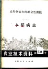农业技术资料  第50号  农作物病虫的群众性测报  1  水稻病虫