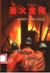 浴火金刚  扑救衡阳11.3特大火灾纪实