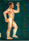 标准针灸经穴部位图谱