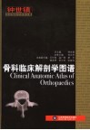 骨科临床解剖学图谱
