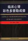 临床心肾彩色多普勒成像