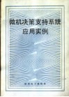 微机决策支持系统应用实例