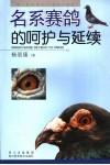 名系赛鸽的呵护与延续