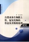 自然水体生物膜上铁、锰氧化物的形态及其吸附机理研究