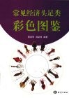 常见经济头足类彩色图集