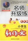 小学生新作文升级练  三年级