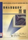 贵州小型猪组织学图谱