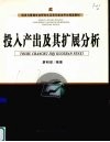 投入产出及其扩展分析