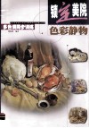 色彩静物  多色调同步训练