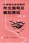大学语文自学考试作文指导及模拟测试 封面