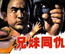 兄妹同仇  上 封面