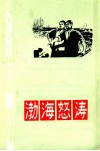 渤海怒涛 封面