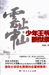 少年王爷断狱录 封面