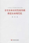 夯实农业农村发展基础推进农业现代化