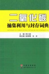 二氧化碳捕集利用与封存词典 封面