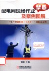 配电网现场作业禁忌及案例图解  “生产现场作业‘十不干’”分析及示例 封面